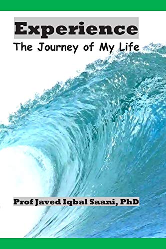 Cover of Experience: The Journey of My Life